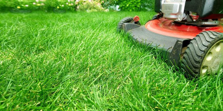 What type of power lawn mower is best for your property