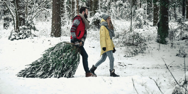 Christmas tree stands