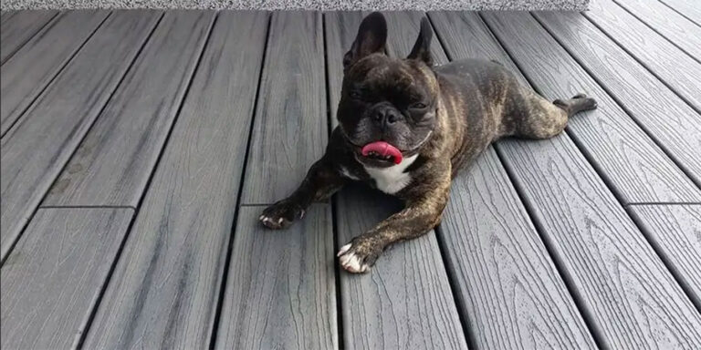 The “Kid-Safe” and “Pet-Proof” Backyard: Durability Meets Design